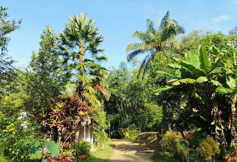 旅馆 Suan Bang Bon Guest House