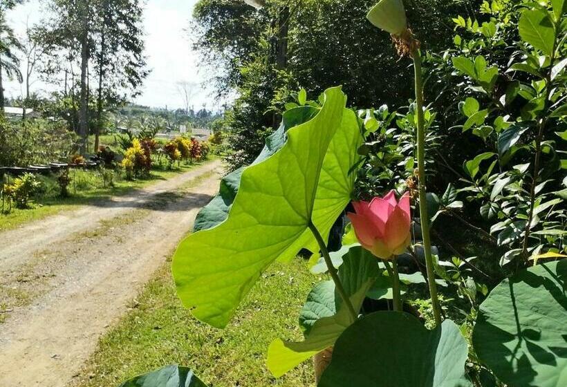旅馆 Suan Bang Bon Guest House