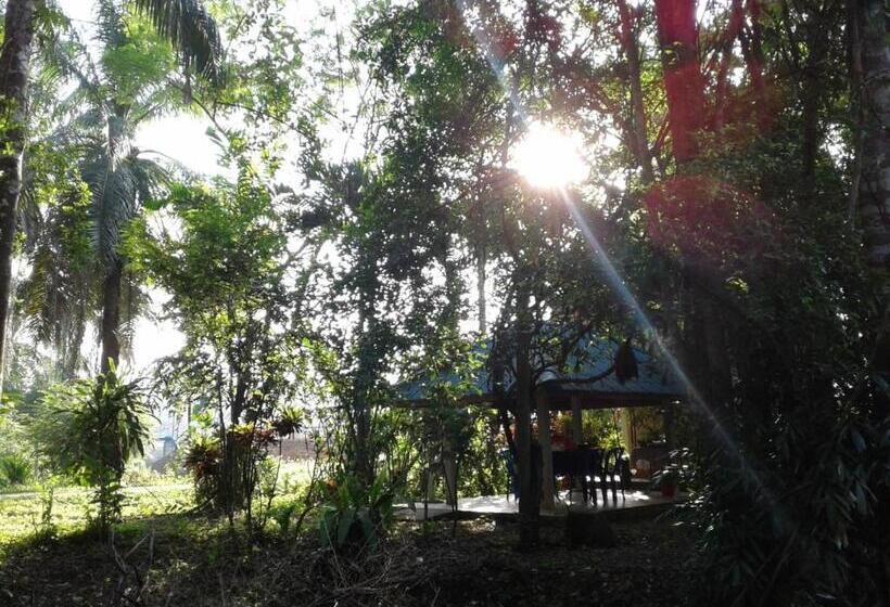 旅馆 Suan Bang Bon Guest House