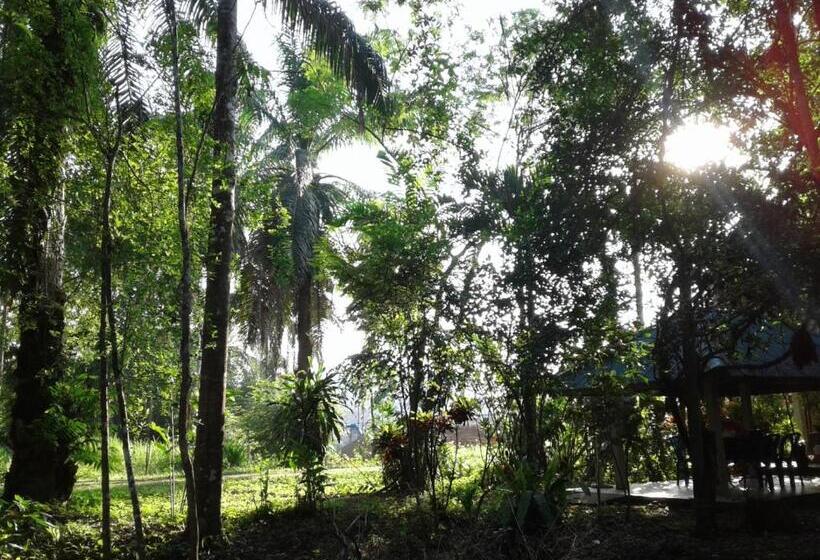 旅馆 Suan Bang Bon Guest House