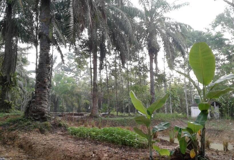 旅馆 Suan Bang Bon Guest House