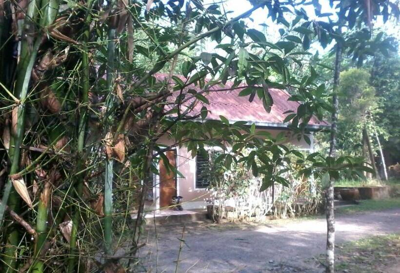 旅馆 Suan Bang Bon Guest House