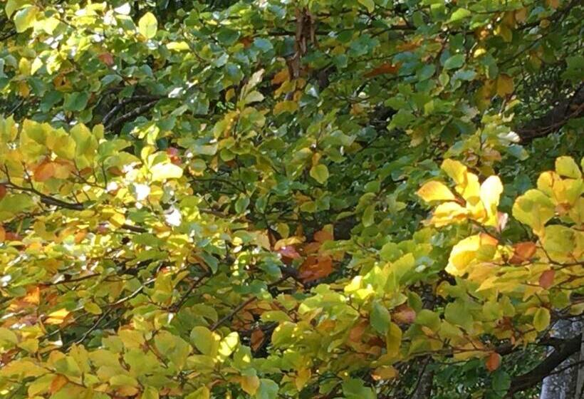 צימר B3 Boutique Bed&breakfast