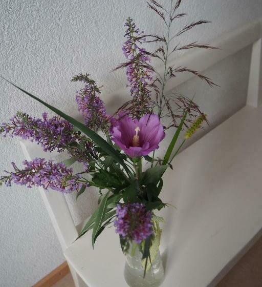 Bed and Breakfast Bnb Entensee