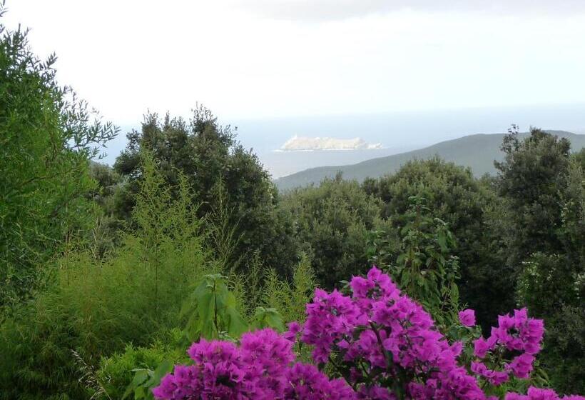 צימר Casa A Rota Chambres D Hôtes