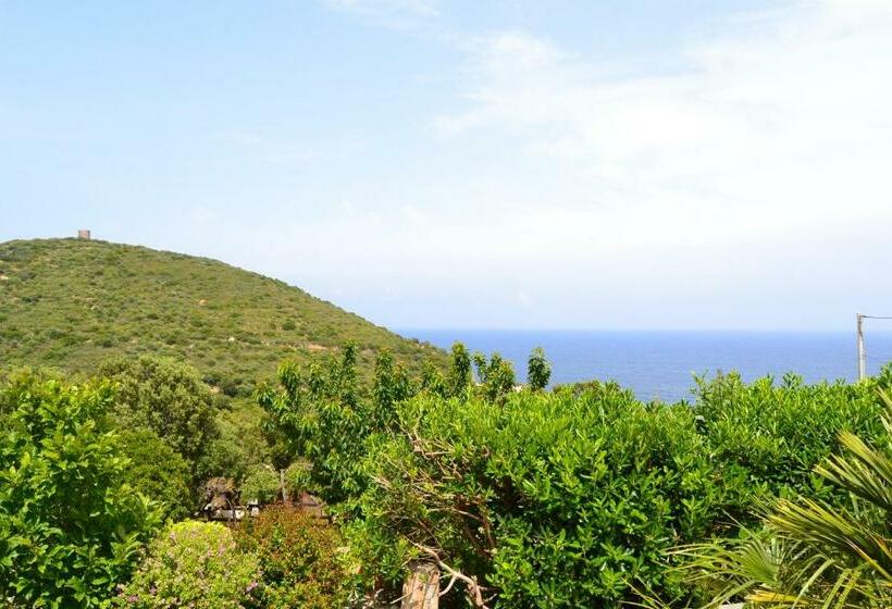 ベッドアンドブレックファースト Casa Di Babbo