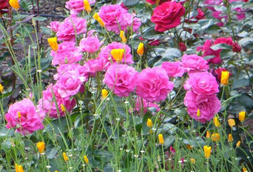 민박 Maison D Hôtes Dyrslot