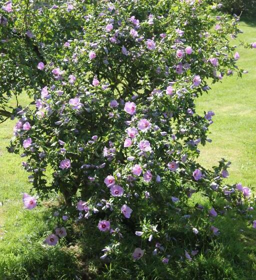 住宿加早餐 Chambres D Hôtes Ferme De La Baie