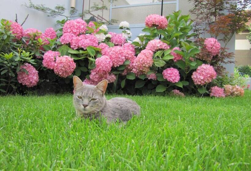 مبيت وإفطار Chambres D Hôtes Les Muriers