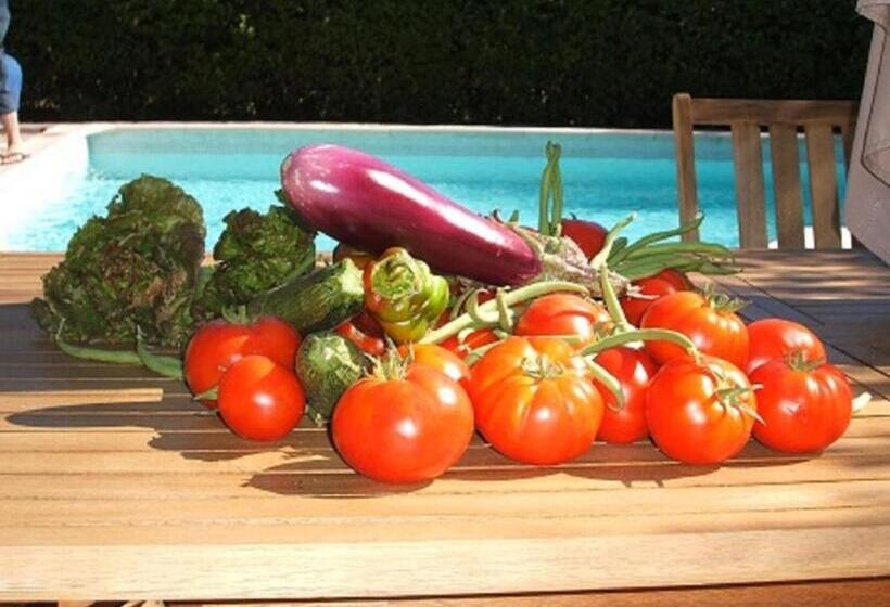 צימר Chambres D Hôtes Sous L Olivier