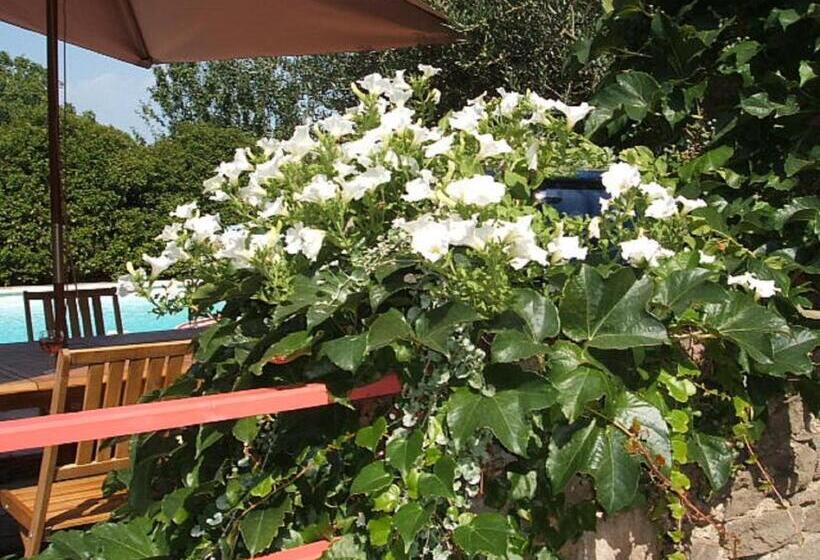 צימר Chambres D Hôtes Sous L Olivier