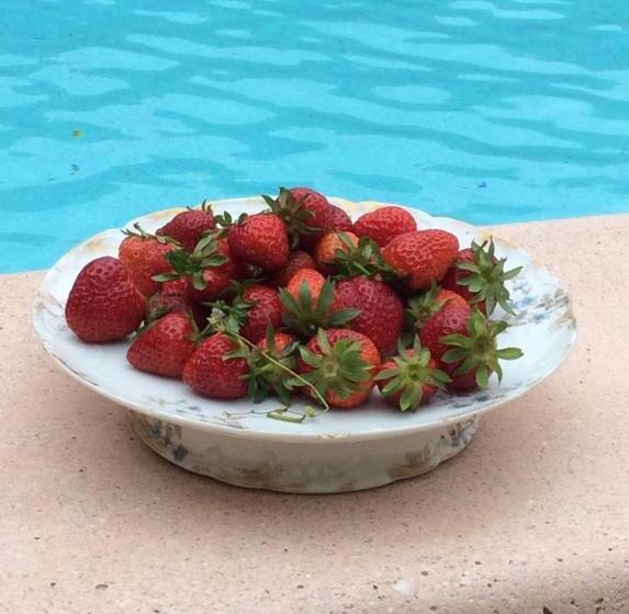 Bed and Breakfast Chambres D Hôtes Sous L Olivier