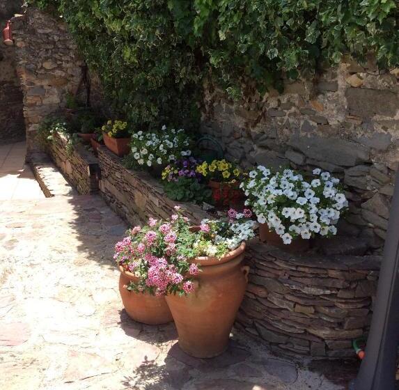 צימר Chambres D Hôtes Sous L Olivier