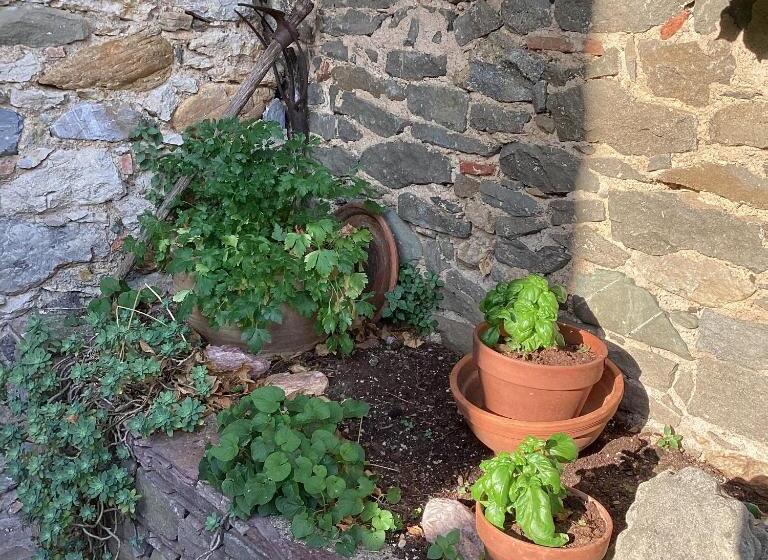 Bed and Breakfast Chambres D Hôtes Sous L Olivier