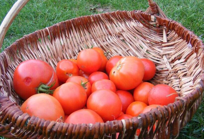 住宿加早餐 Chambres D Hôtes Vignes Et Loire