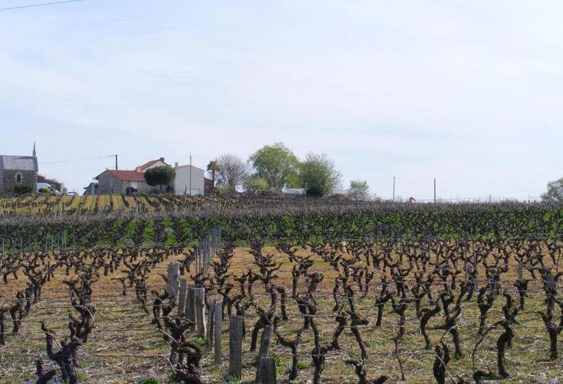 住宿加早餐 Chambres D Hôtes Vignes Et Loire