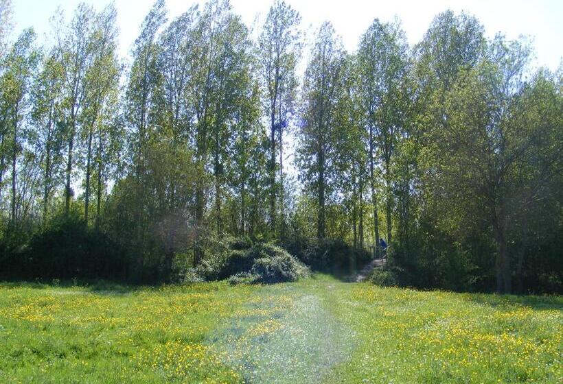 住宿加早餐 Chambres D Hôtes Vignes Et Loire