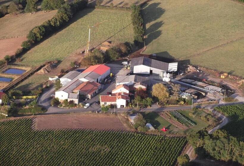 住宿加早餐 Chambres D Hôtes Vignes Et Loire