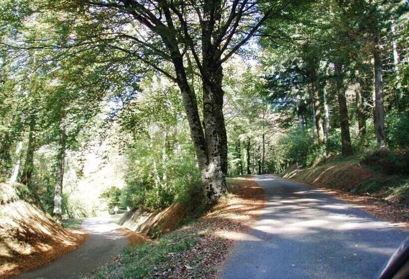 ベッドアンドブレックファースト Chez Providence Chambres Et Table D Hôtes