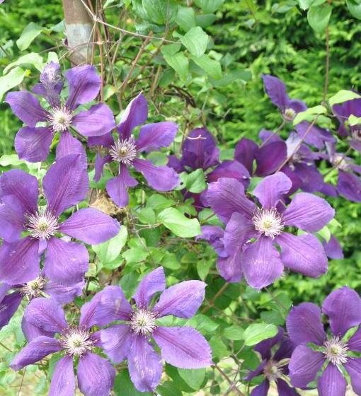 민박 Domaine De Paguy