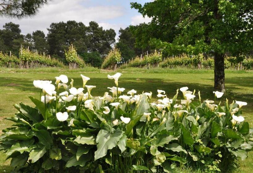 مبيت وإفطار Domaine De Paguy