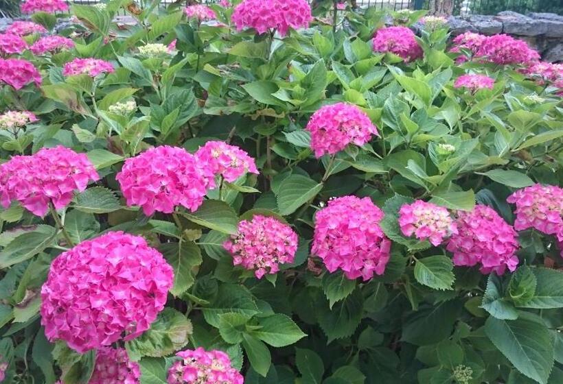 مبيت وإفطار Domaine De Paguy