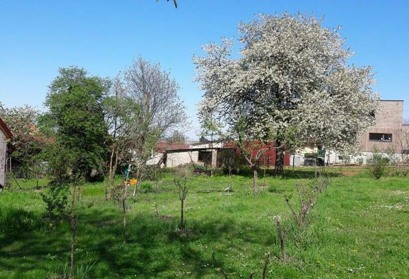 مبيت وإفطار Gîte Et Chambres D Hôtes, L Erable