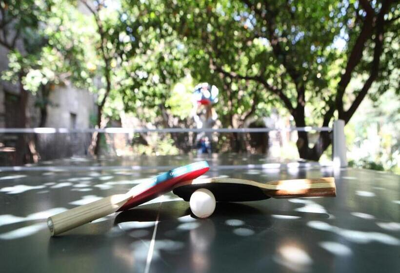 민박 Il Giardino Di Tonia   Oplontis Guest House   Bed & Garden