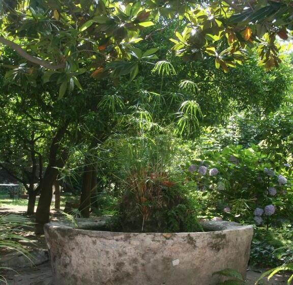 민박 Il Giardino Di Tonia   Oplontis Guest House   Bed & Garden