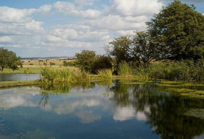 צימר La Dame Blanche