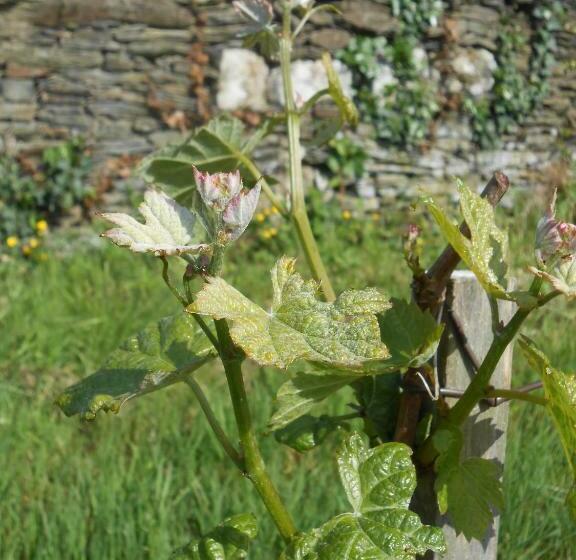 צימר La Haye Gîtes Et Chambre D Hôtes