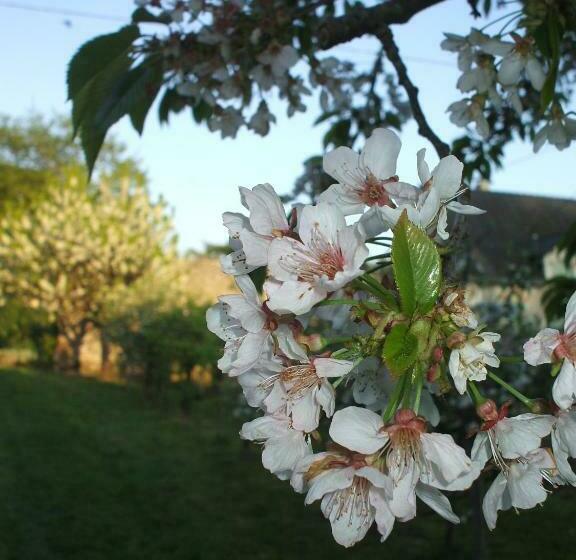 צימר La Haye Gîtes Et Chambre D Hôtes