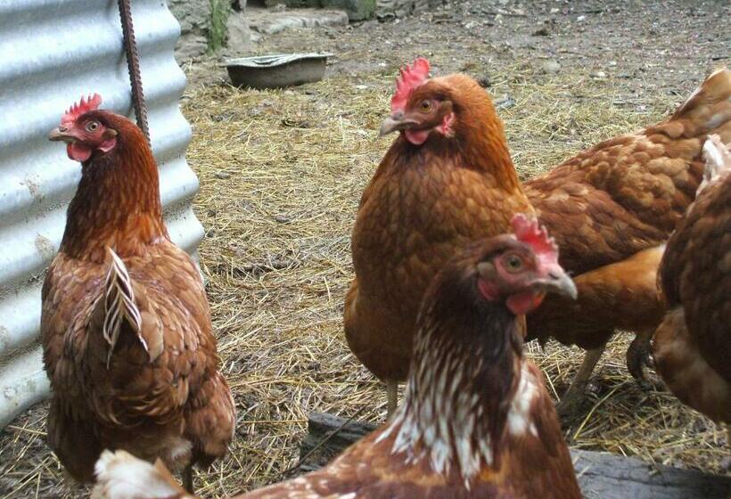 צימר La Haye Gîtes Et Chambre D Hôtes