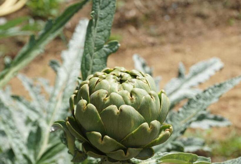 צימר La Haye Gîtes Et Chambre D Hôtes