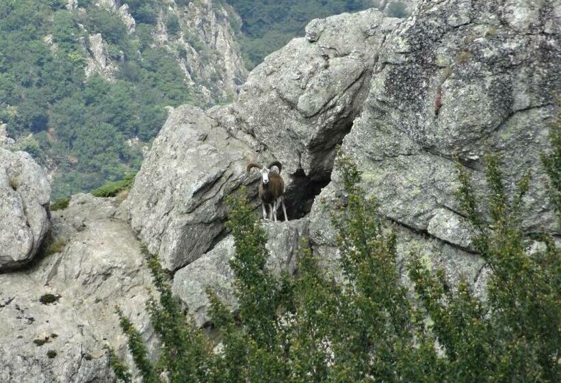 مبيت وإفطار La Maison D Hôtes