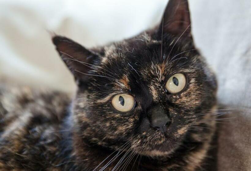 مبيت وإفطار Slaopen En Stoet