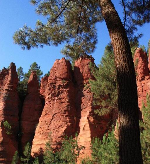 ベッドアンドブレックファースト Villa Des Roses