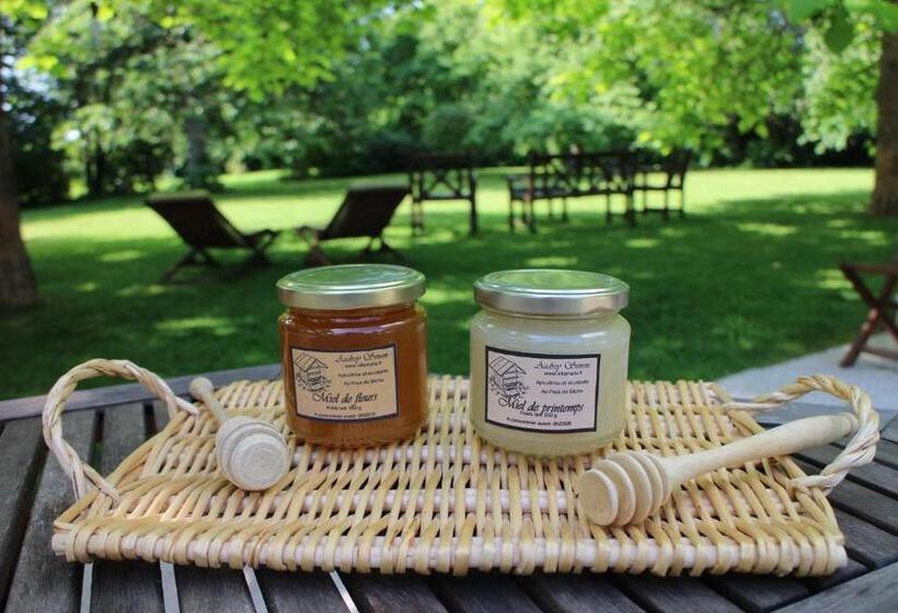 住宿加早餐 Villa Maria