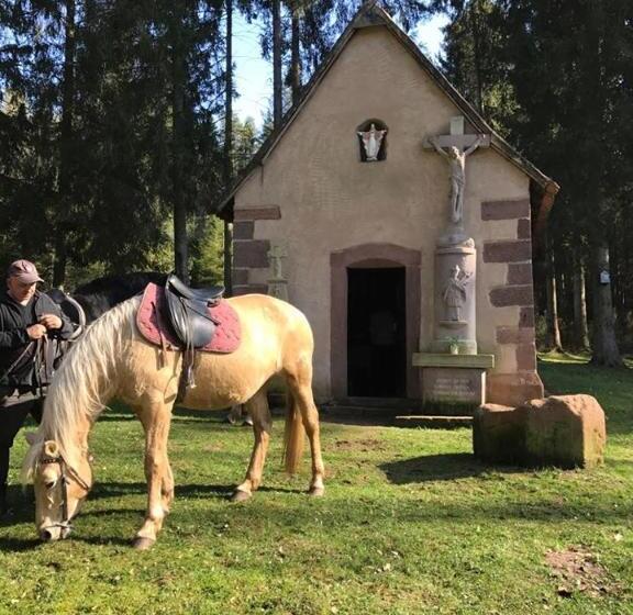 住宿加早餐 Villa Maria