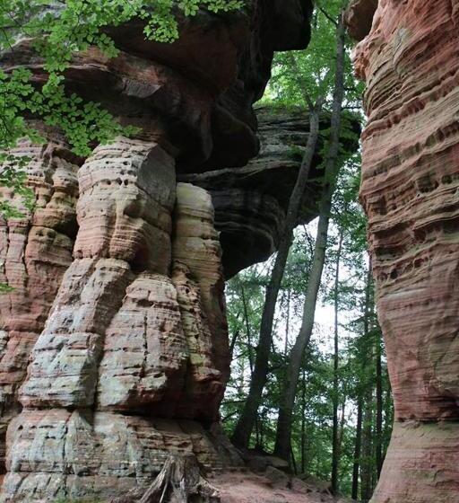 住宿加早餐 Villa Maria