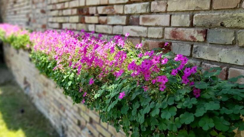 Отель Agriturismo Tenuta Santa Maria