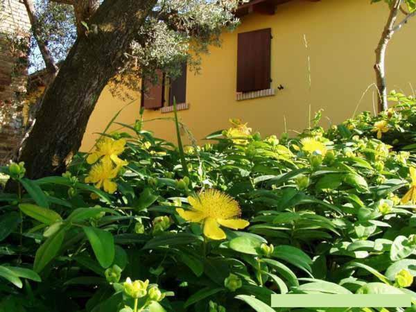 Отель Agriturismo Tenuta Santa Maria