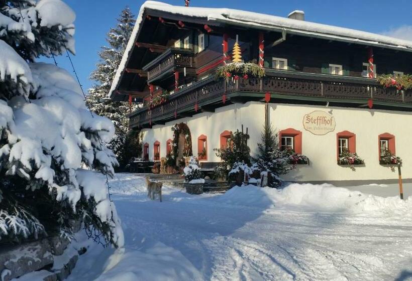 בית מלון כפרי Ferienwohnung Am Baby & Kinderbauerhof Stefflhof