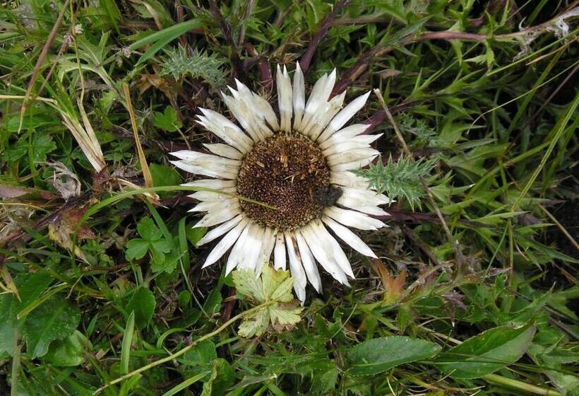 בית מלון כפרי Bauernhof Grussberggut