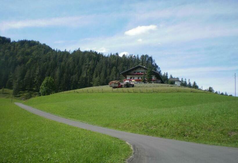 호텔 Bichlhof Riedenberg