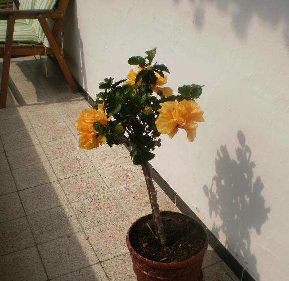 호텔 Bichlhof Riedenberg