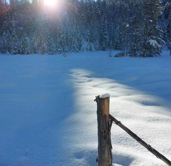 호텔 Bichlhof Riedenberg