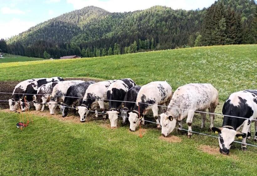 호텔 Bichlhof Riedenberg