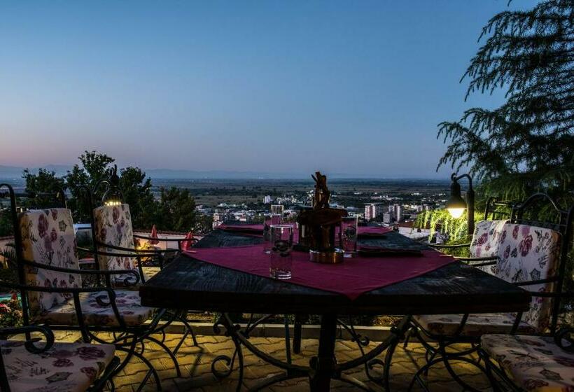 酒店 Chiflika Family