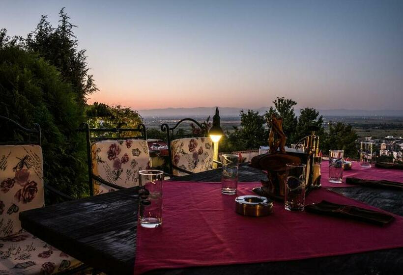 酒店 Chiflika Family